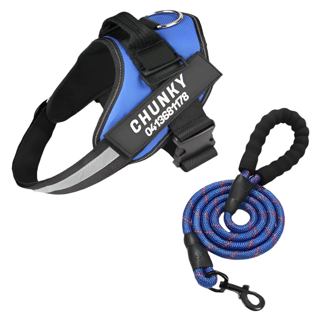 Matching Paws Personalised Dog Harness and Strong Rope Lead Set (XS to 2XL)