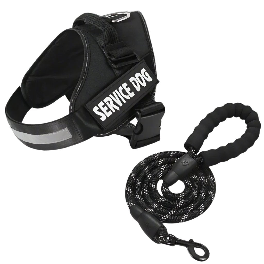 Matching Paws Personalised Dog Harness and Strong Rope Lead Set (XS to 2XL)