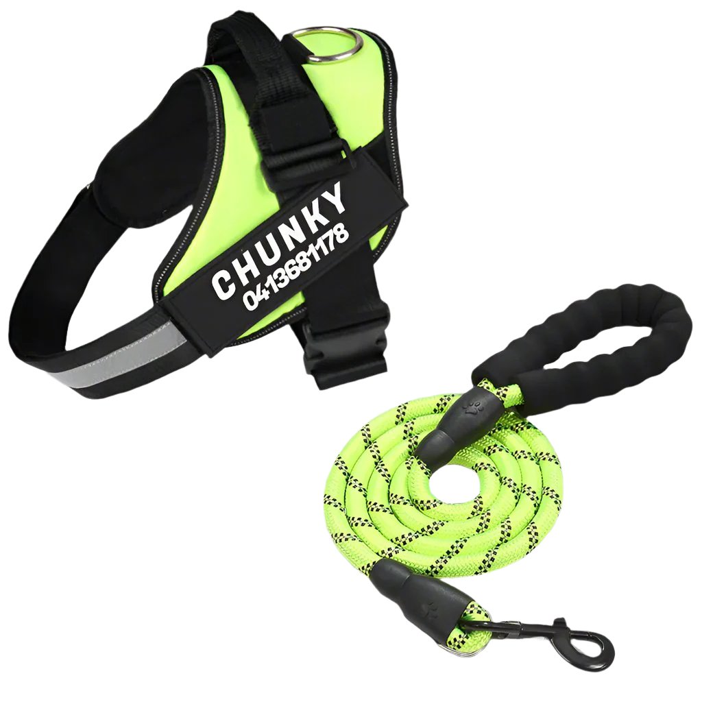 Matching Paws Personalised Dog Harness and Strong Rope Lead Set (XS to 2XL)