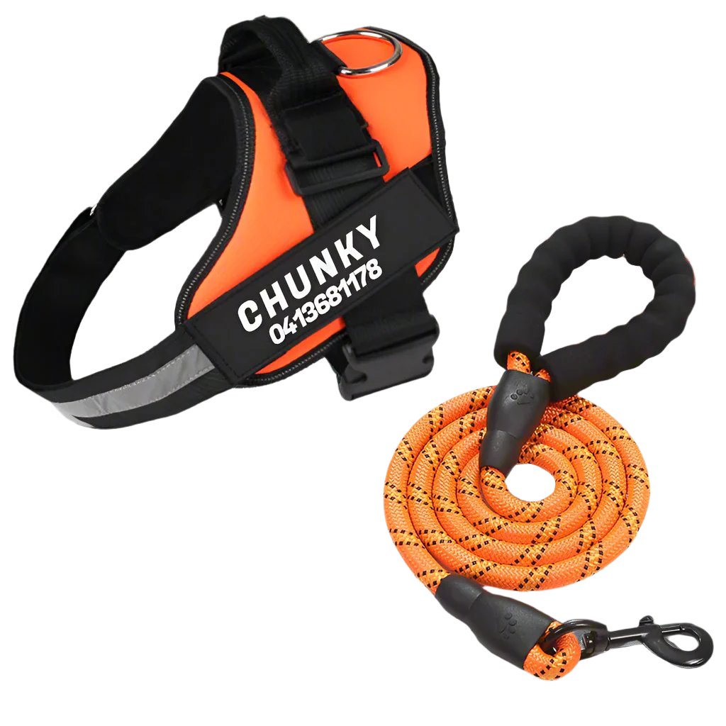 Matching Paws Personalised Dog Harness and Strong Rope Lead Set (XS to 2XL)