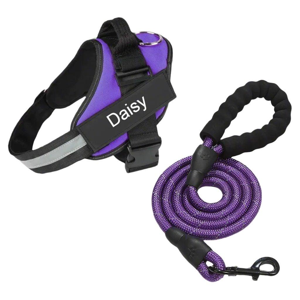 Matching Paws Personalised Dog Harness and Strong Rope Lead Set (XS to 2XL)
