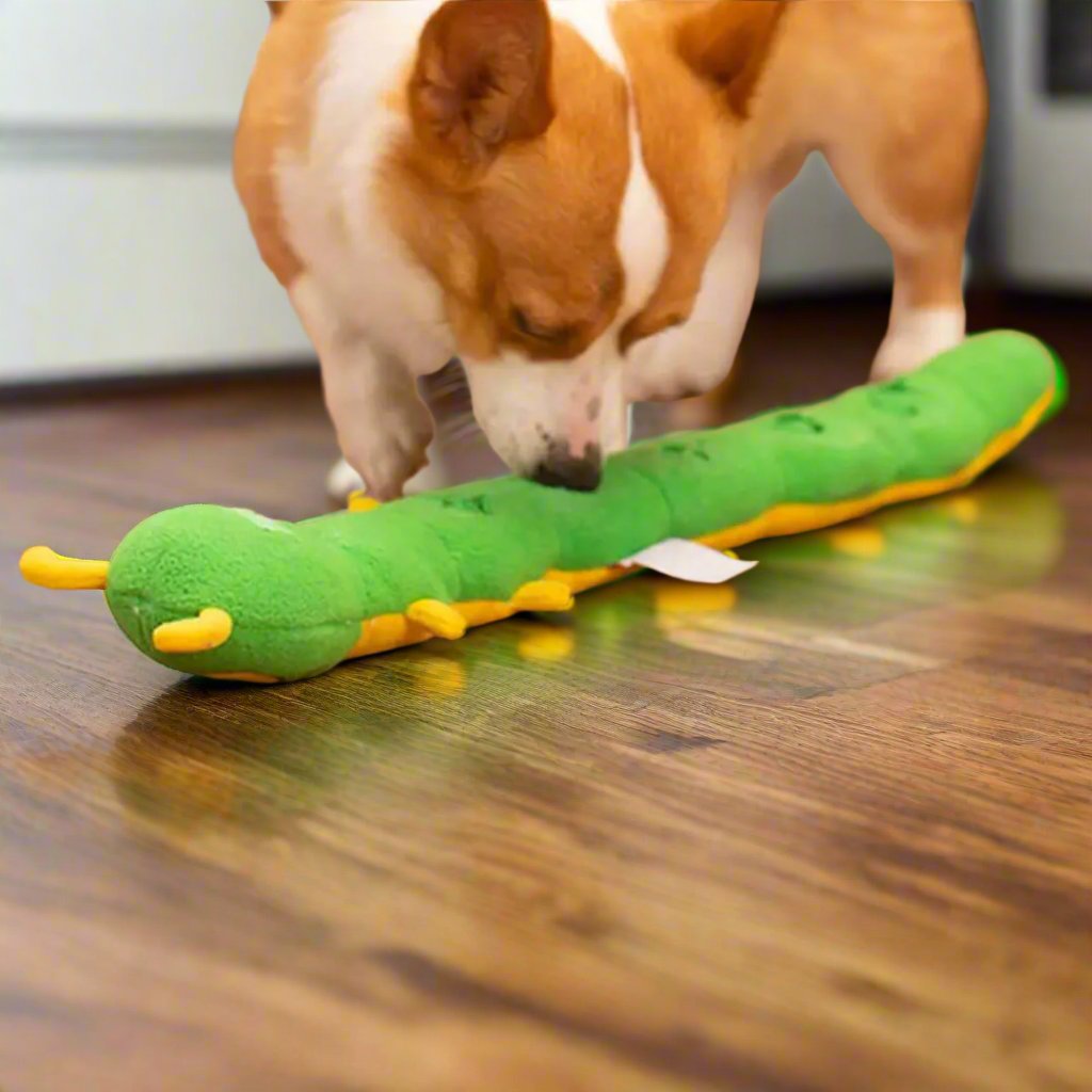 Billy the Interactive Caterpillar Dog Toy