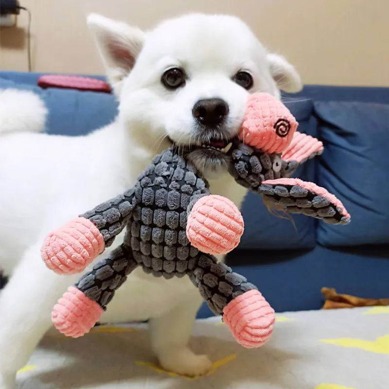 Paws Bite Resistant Toy