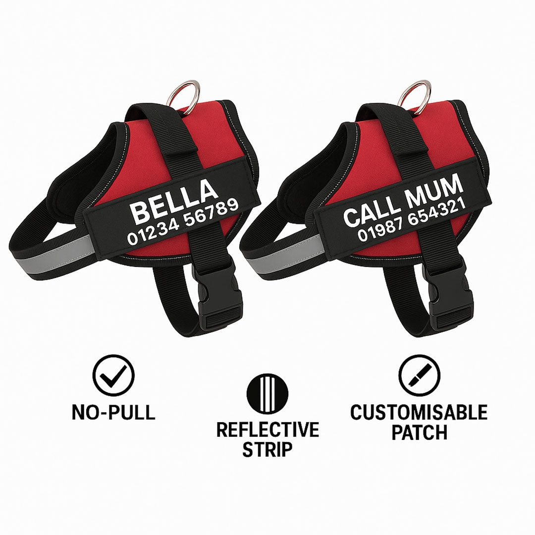 Paws Personalised Dog Harness