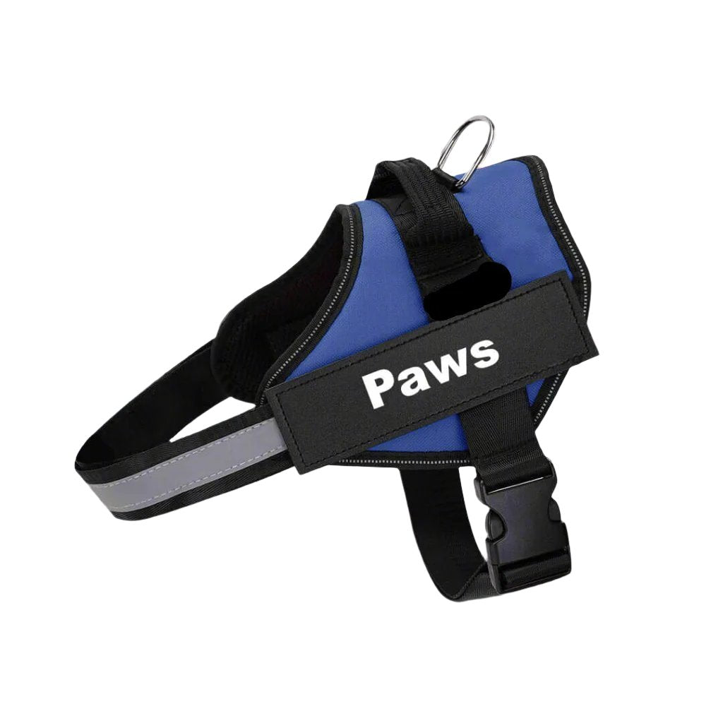 Paws Personalised No-Pull Dog Harness