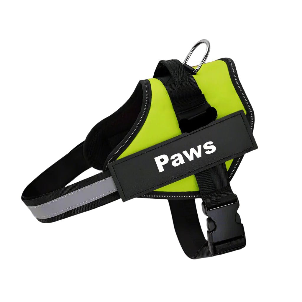 Paws Personalised No-Pull Dog Harness