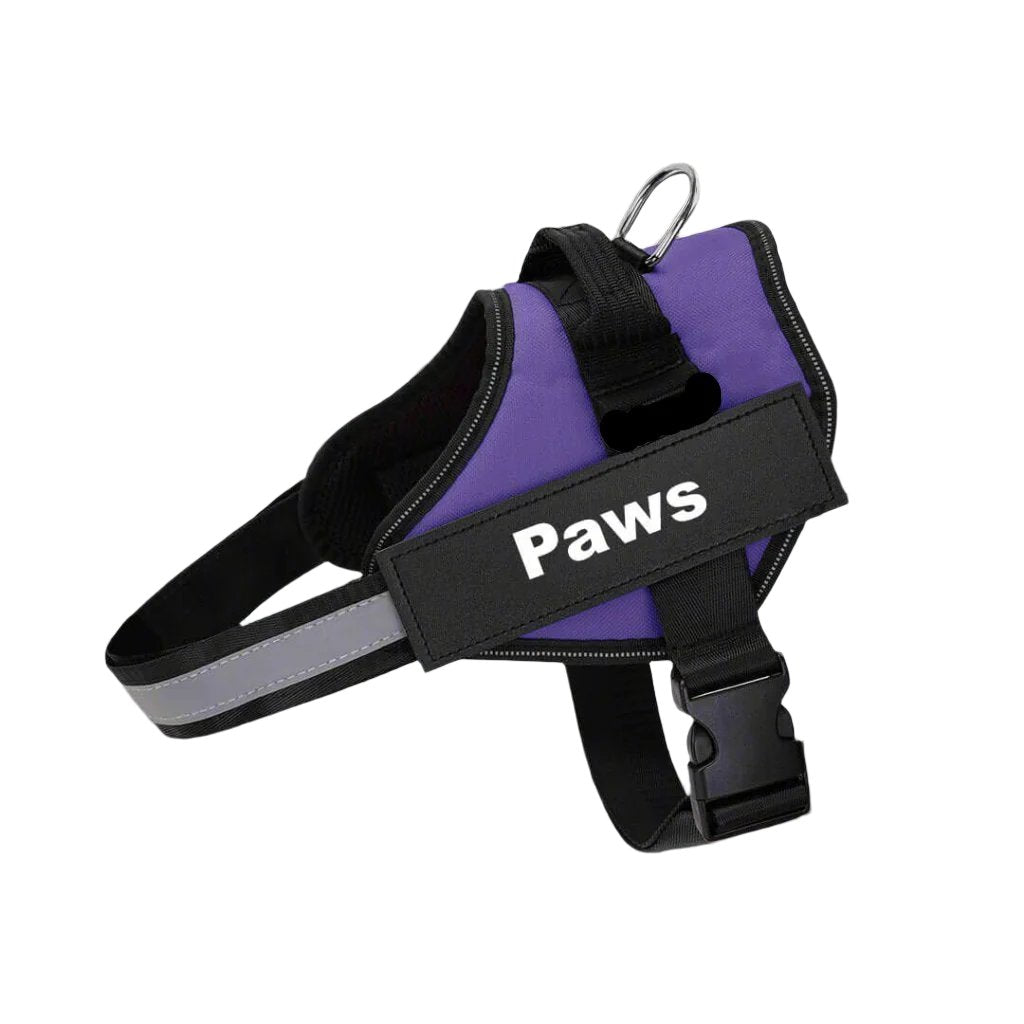 Paws Personalised No-Pull Dog Harness