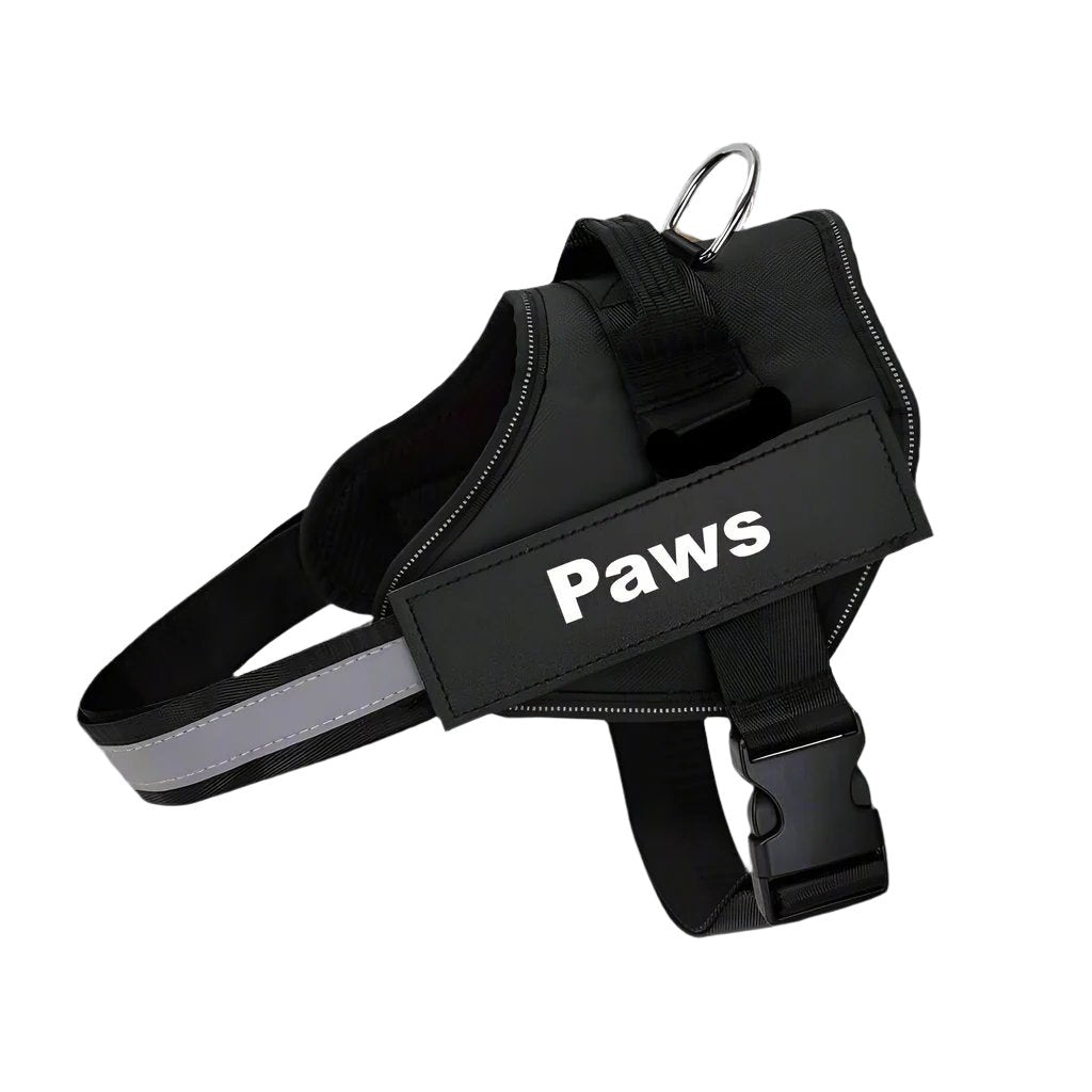Paws Personalised No-Pull Dog Harness