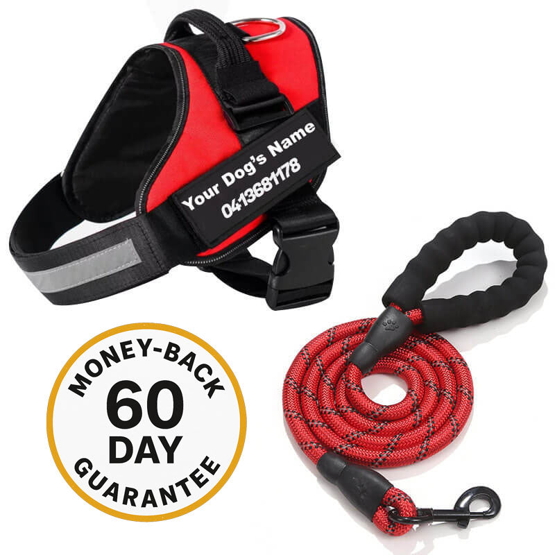 Matching Paws Personalised Dog Harness and Strong Rope Lead Set (XS to 2XL)