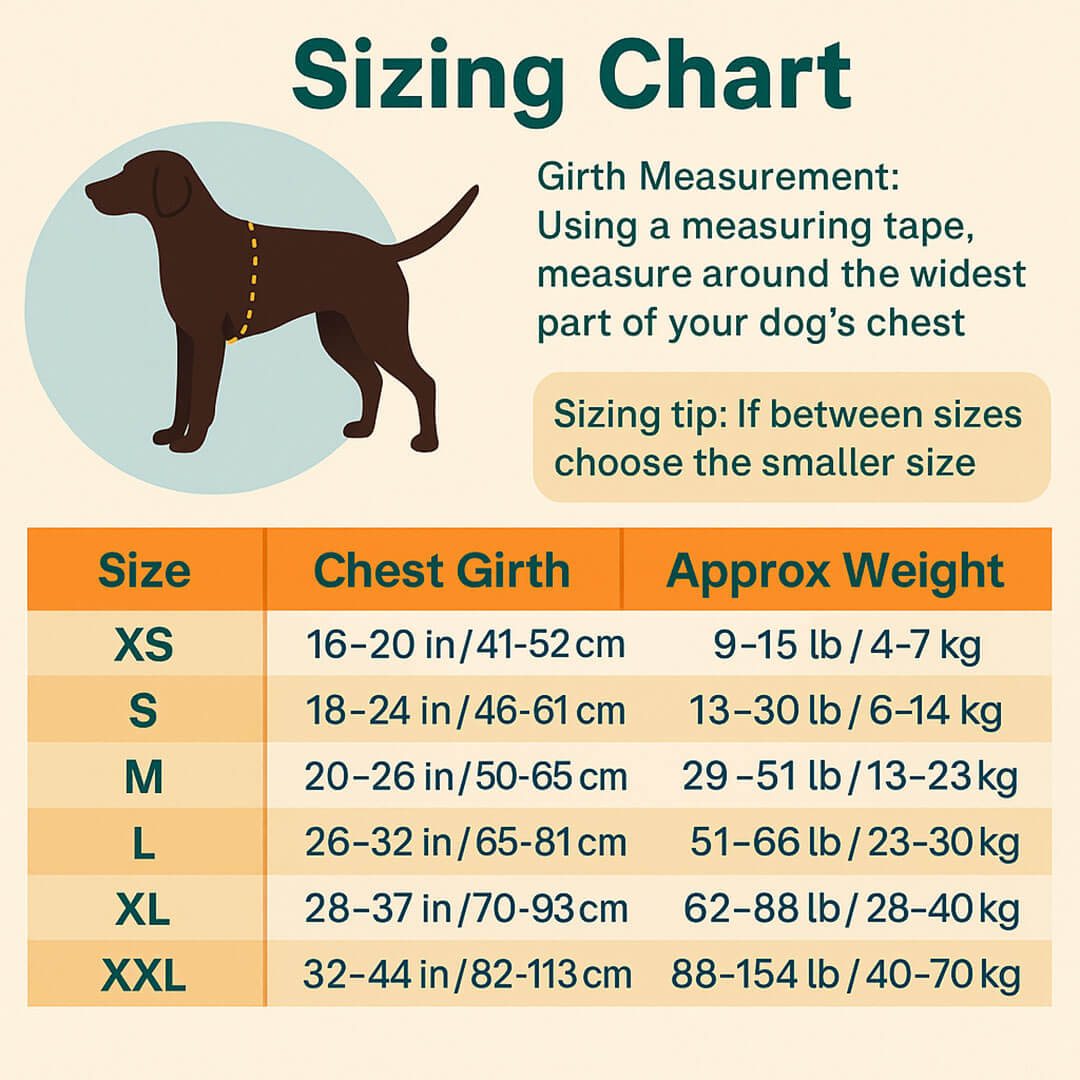 Matching Paws Personalised Dog Harness and Strong Rope Lead Set (XS to 2XL)