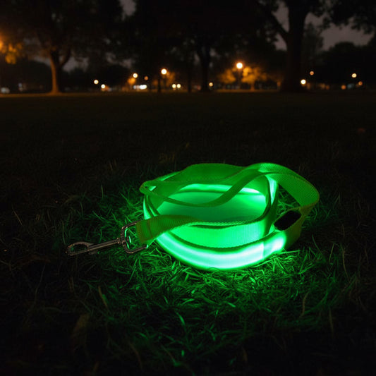 LED Dog Lead