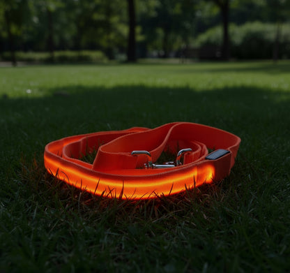 LED Dog Leash