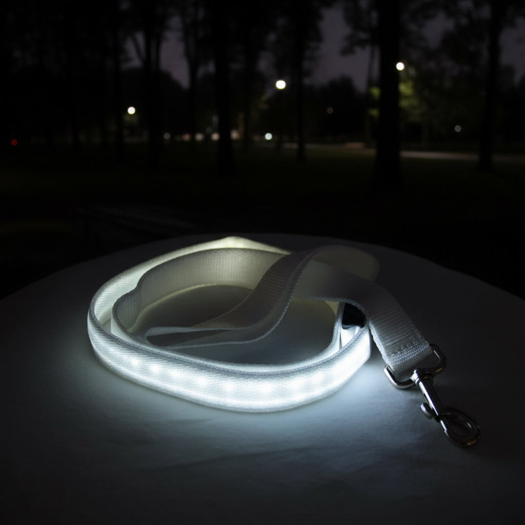 LED Dog Leash