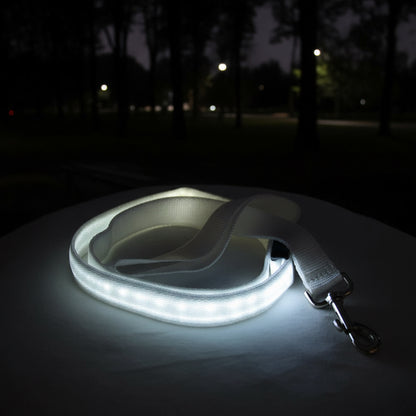 LED Dog Leash