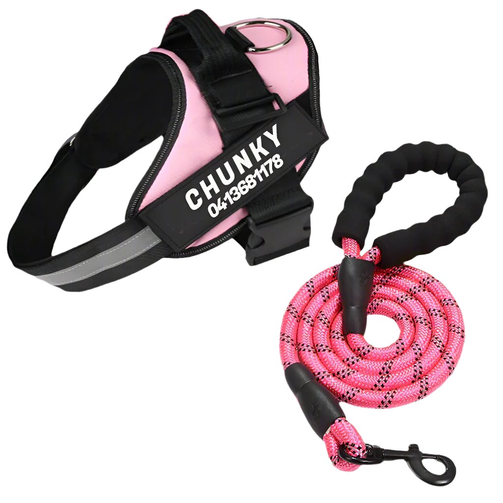 Matching Paws Personalized Dog Harness and Strong Rope Leash Set (XS to 2XL)