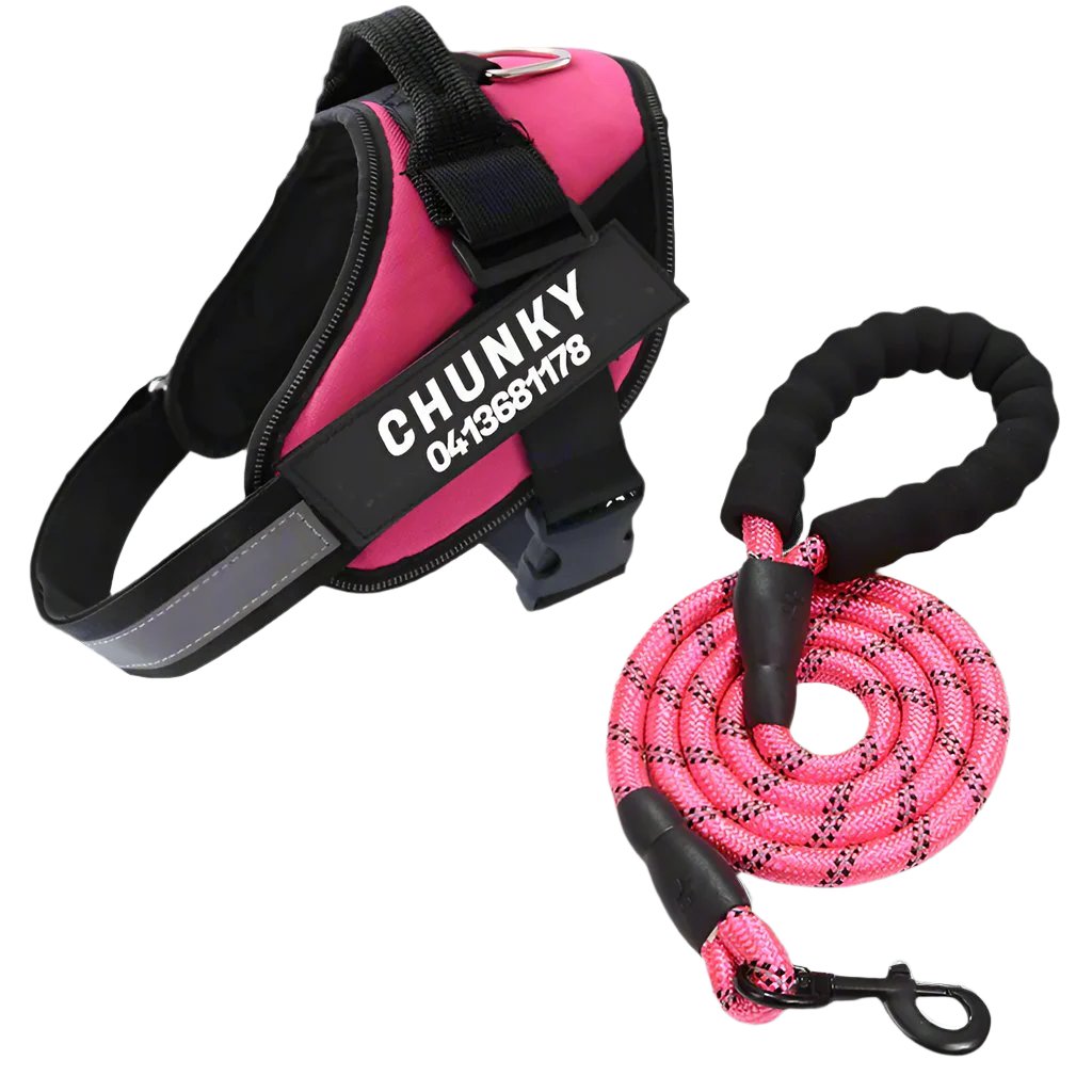 Matching Paws Personalized Dog Harness and Strong Rope Leash Set (XS to 2XL)