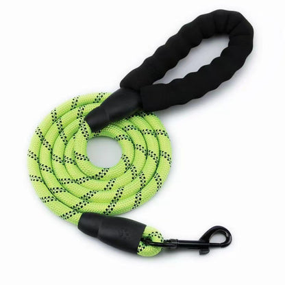 Matching Paws Dog Leash 59" x 1/2"