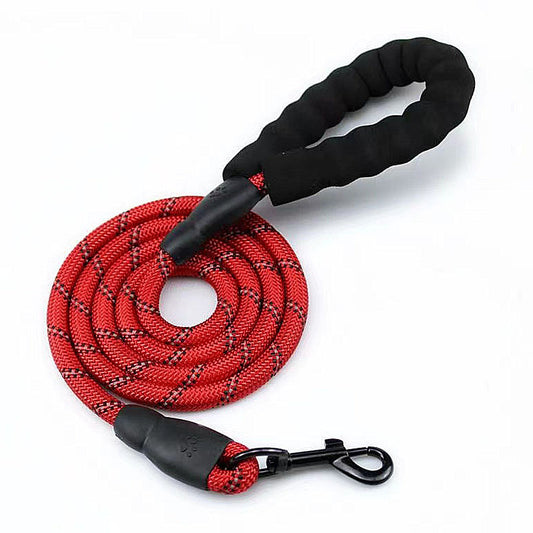 Matching Paws Dog Leash 59" x 1/2"