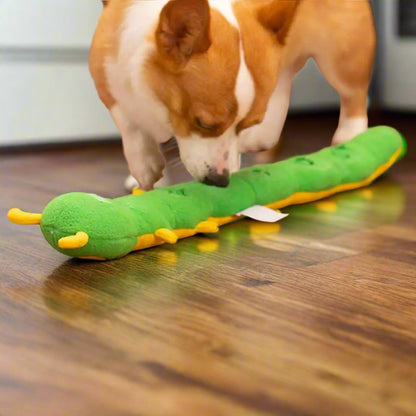 Billy the Interactive Caterpillar Dog Toy