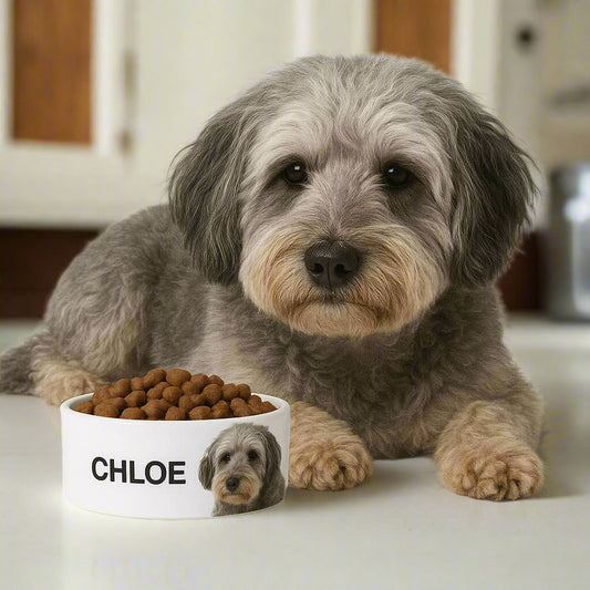 Paws Personalised Pet Bowl