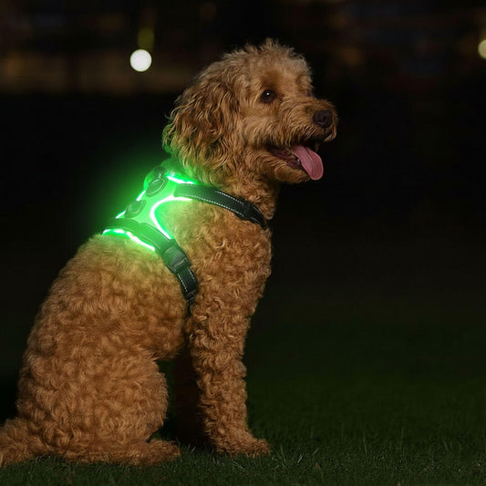Paws LED Dog Harness