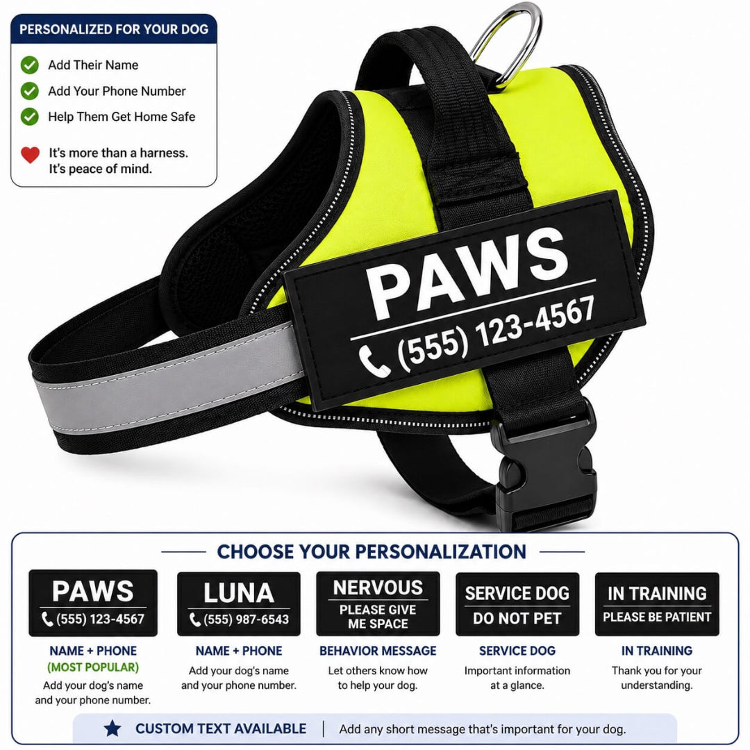 Dog harness with reflective strip and customizable text on a white background