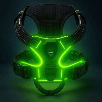 Paws LED Harness