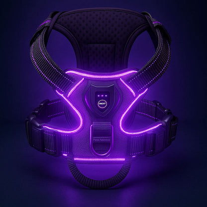 Paws LED Harness