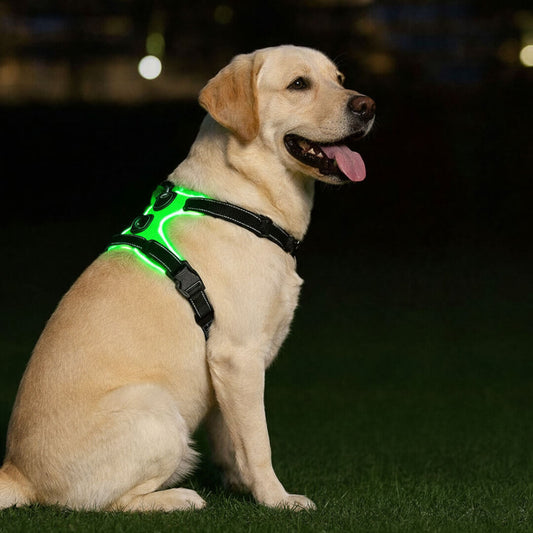 Paws LED Dog Harness