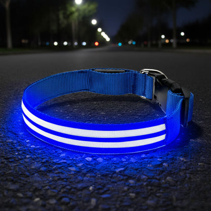 Paws LED Rechargable Collar