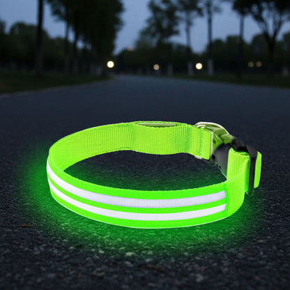 Paws LED Rechargable Collar