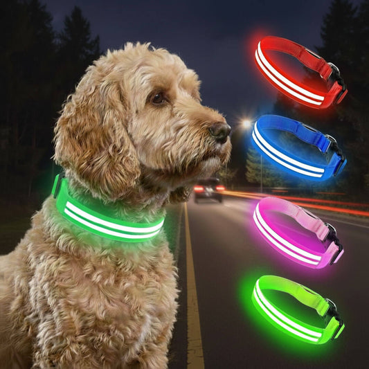 Paws LED Rechargable Collar