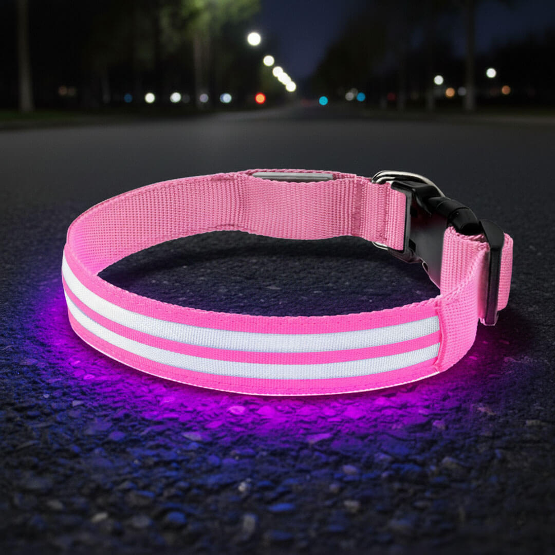 Paws LED Rechargable Collar
