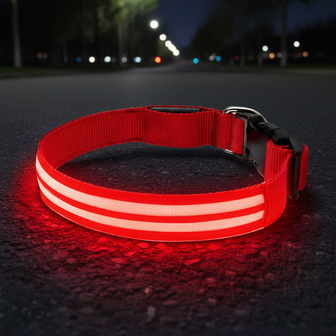 Paws LED Rechargable Collar