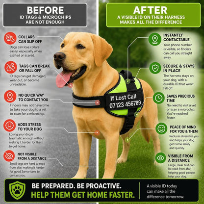 Paws No-Pull Dog Harness - Customize Yours In Just 30 Seconds