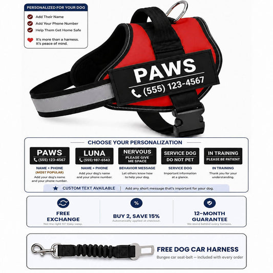 Paws Custom-Made No-Pull Dog Harness