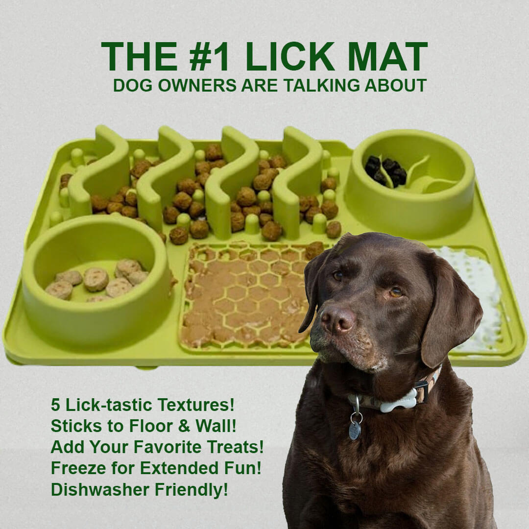 Paws Happy Licker Pet Platter