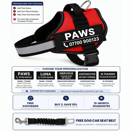Paws Custom-Made No-Pull Dog Harness