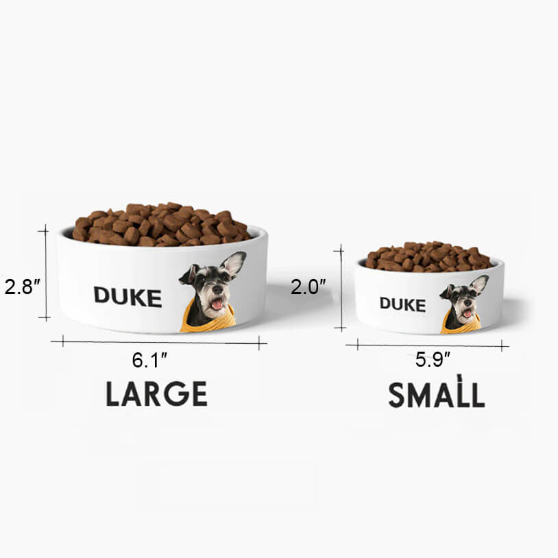 Paws Personalized Pet Bowl Sizes