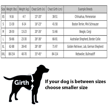 Matching Paws Personalised Dog Harness and Strong Rope Lead Set (XS to 2XL)