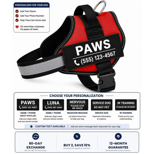 Paws No-Pull Dog Harness - Customize Yours In Just 30 Seconds
