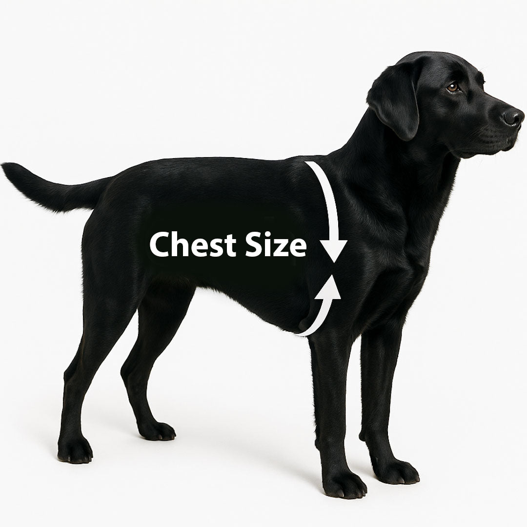 Personalised Reflective Dog Harness – Custom Fit for All Breeds