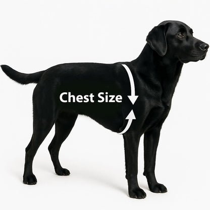 Personalised Reflective Dog Harness – Custom Fit for All Breeds