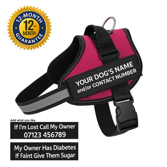 Personalised Reflective Dog Harness – Custom Fit for All Breeds