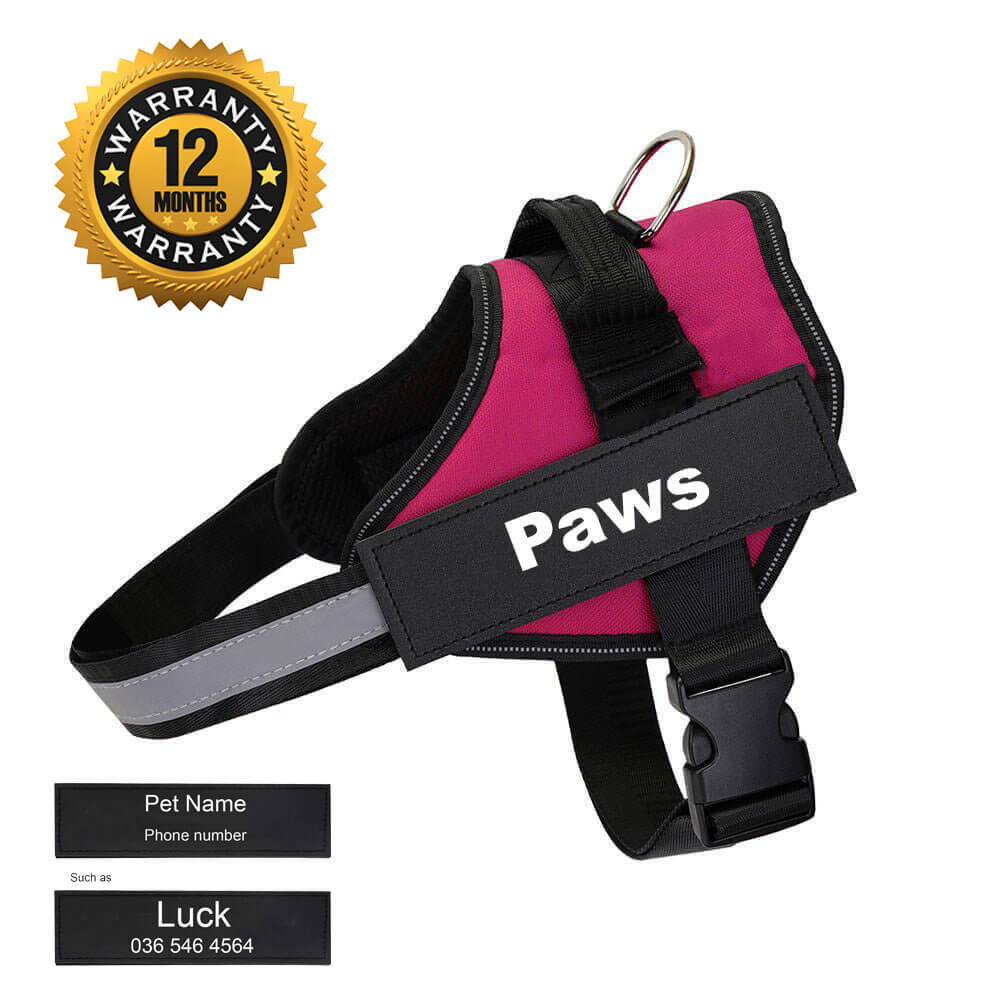 Paws Personalized K9 Dog Harness (XS to 2XL)