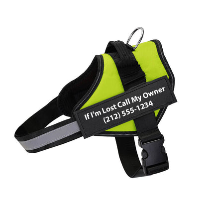 Personalised Reflective Dog Harness – Custom Fit for All Breeds