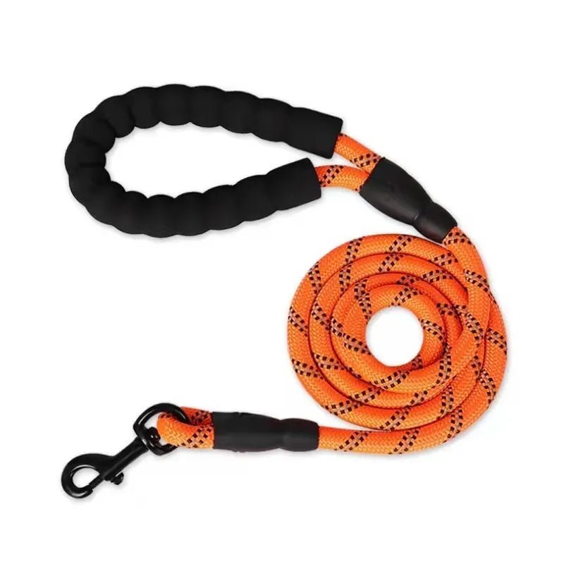 Paws Strong Reflective Dog Leash