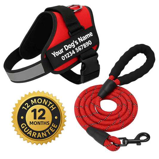 Matching Paws Personalised Dog Harness and Strong Rope Lead Set (XS to 2XL)