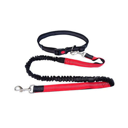 Paws 3-in-1 Hands-Free Dog Leash - Paws For Gifts