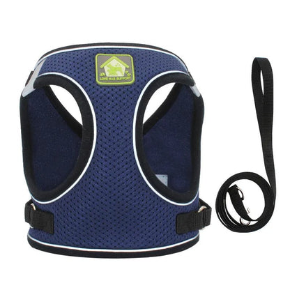 Paws Dog Harness with Leash - Paws For Gifts